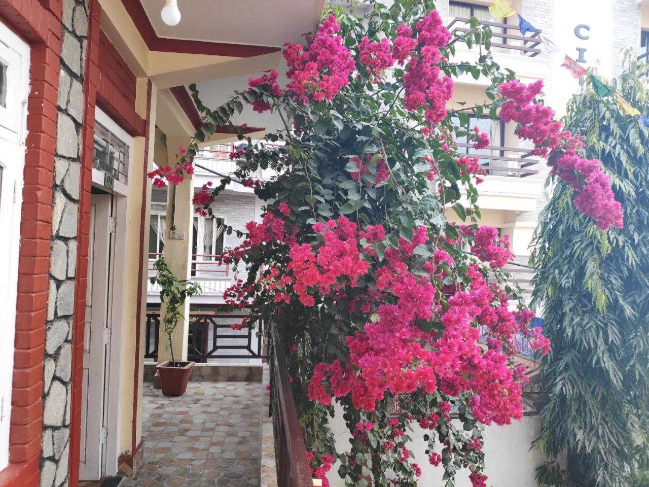 Hotel Angel Pokhara Exterior foto